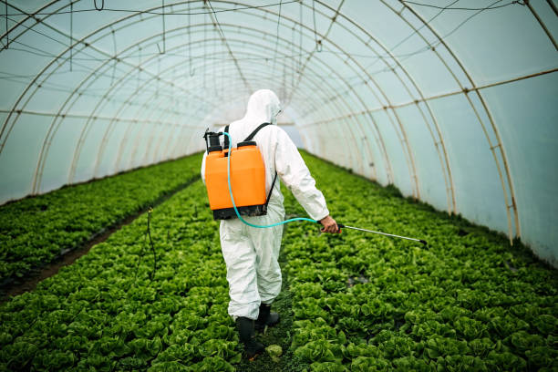 Best Best Pest Control Companies  in East Tawas, MI