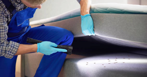 Best Commercial Pest Control Services  in East Tawas, MI